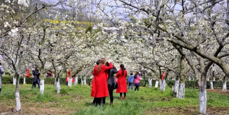中国最牛的一个省会,中国最牛的一个县城