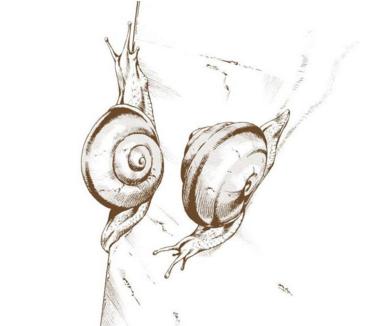 来波《JOJO的奇妙冒险第六部：石之海》替身科普