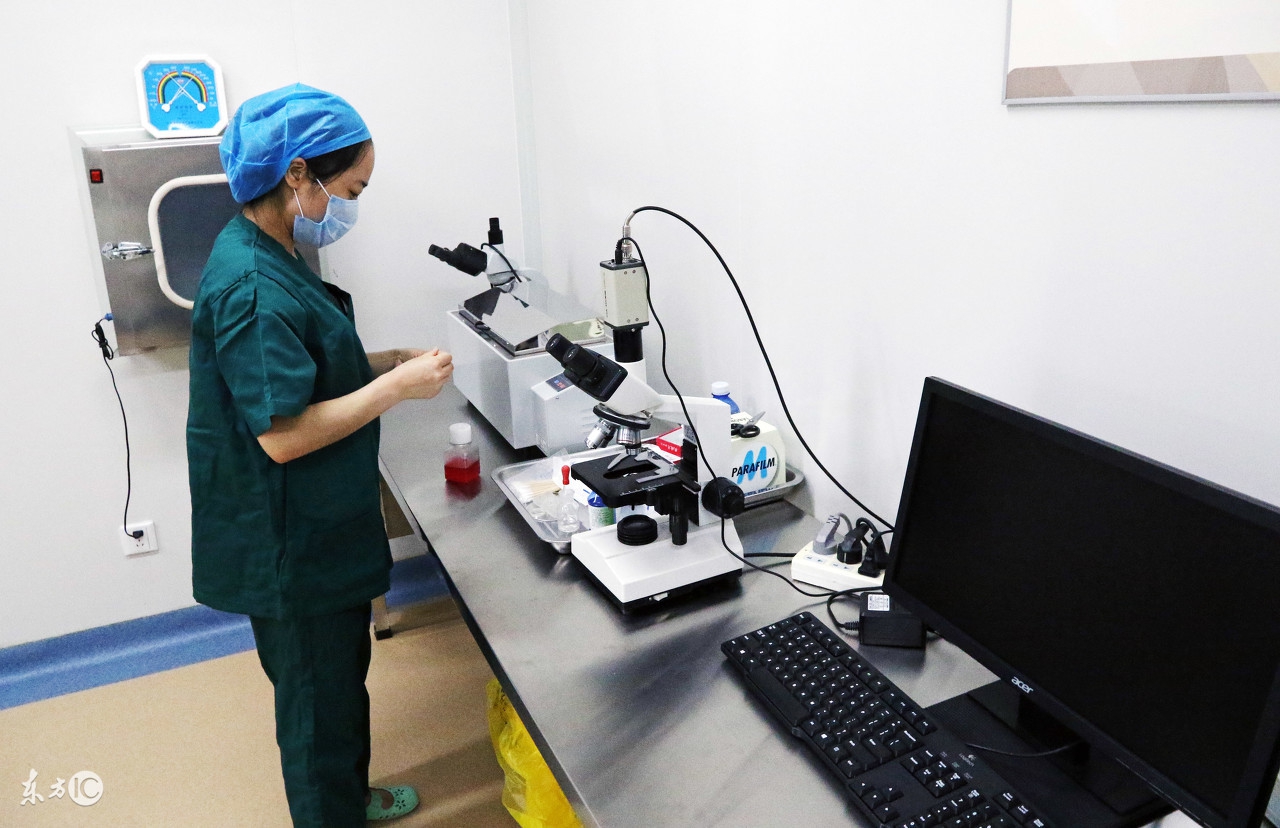 蜜蜂人工体内授精全过程,蜜蜂人工授精最新技术