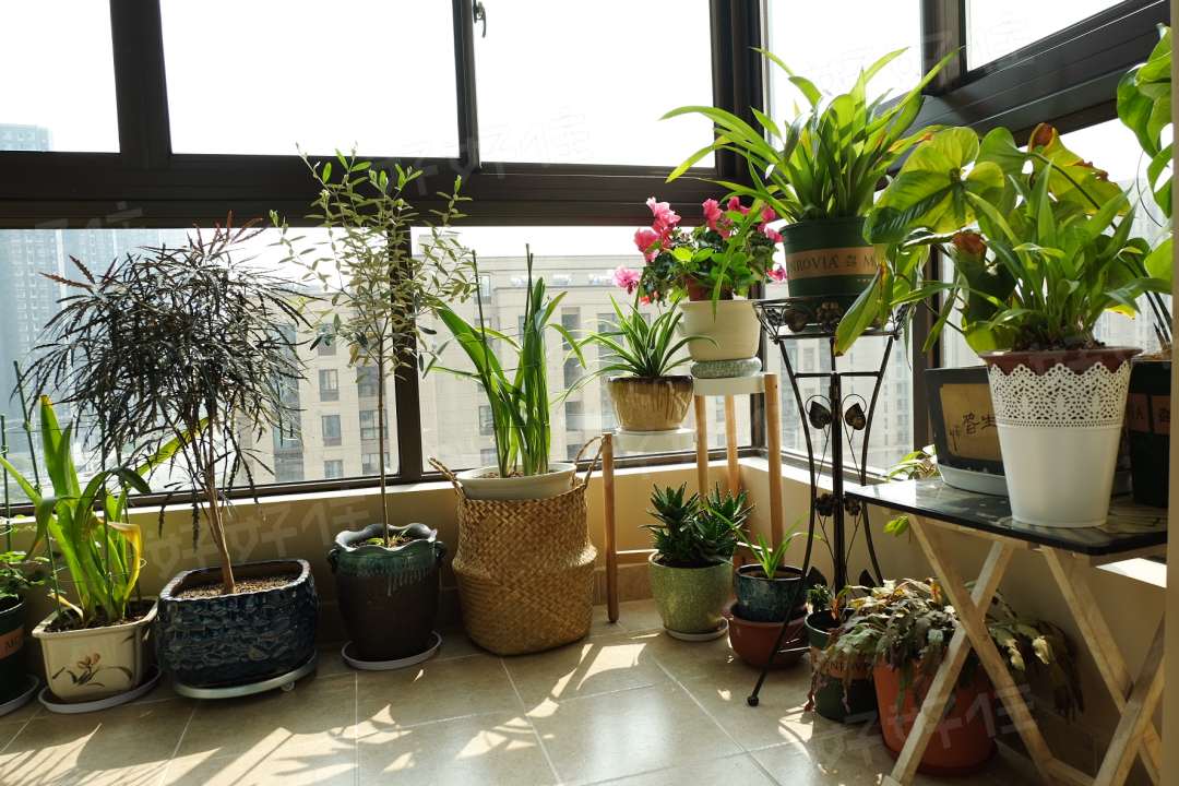 把阳台改造属于自己的小天地,把一平米的小阳台改造成秘密基地