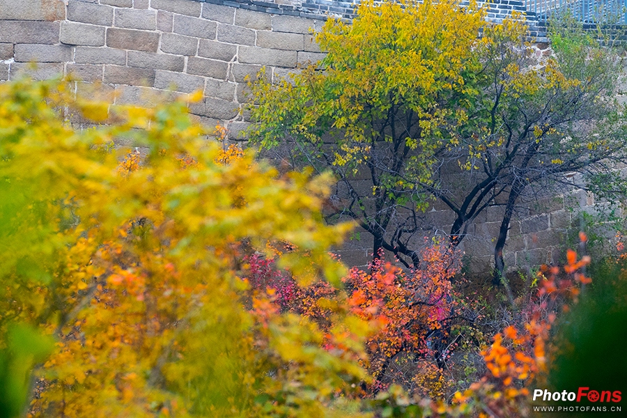 佳能eos800d摄影视频,佳能eos800d拍出来是黑白的