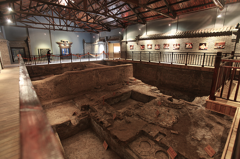 世界上最好的养生药,十大最养生药