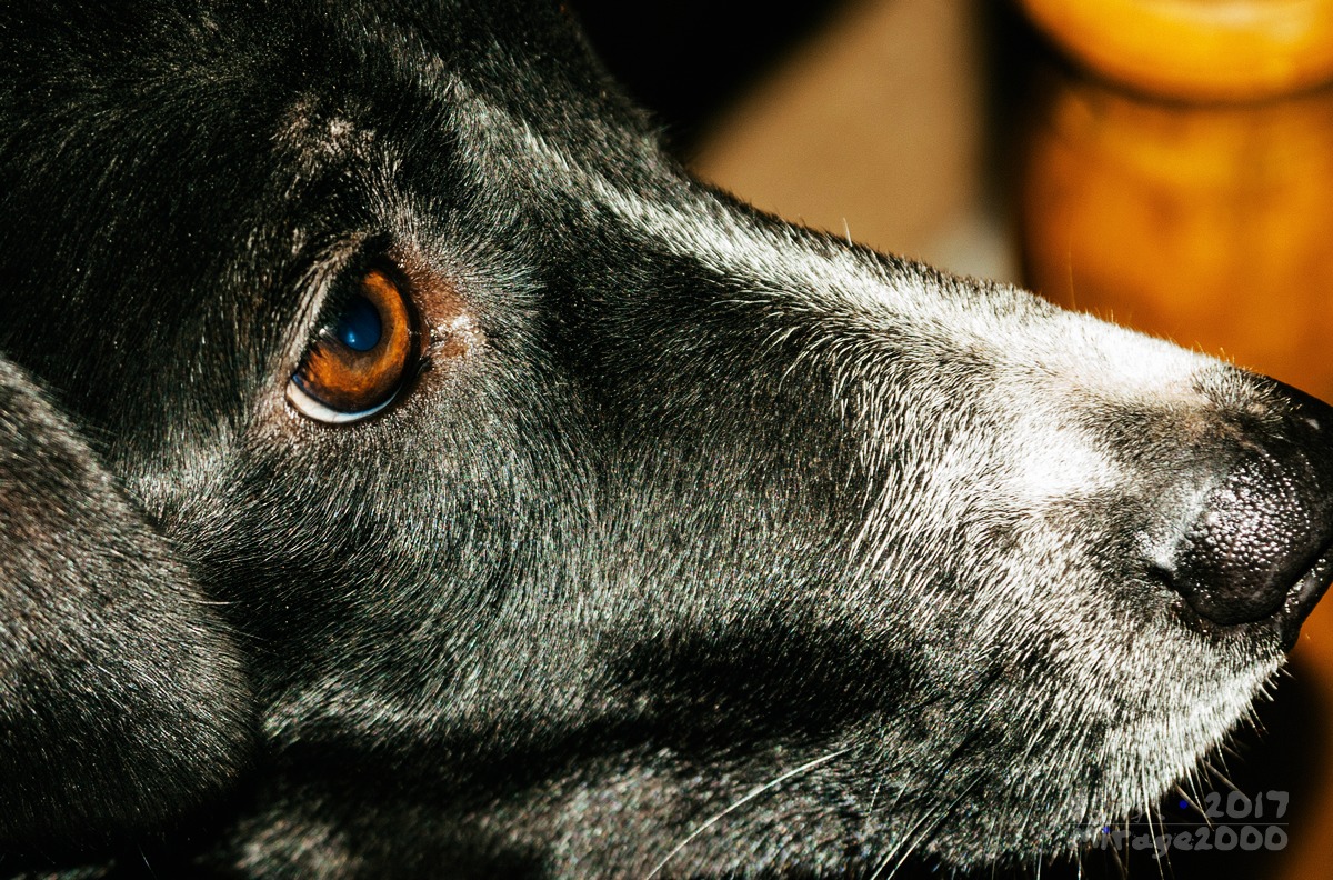 余杭十大旅游景点有哪些,余杭区山沟沟