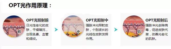 舒淇为什么突然告别演员生涯,舒淇22岁到43岁颜值变化