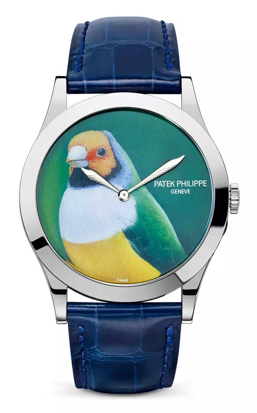 表盘参数详细讲解,表盘教学大全