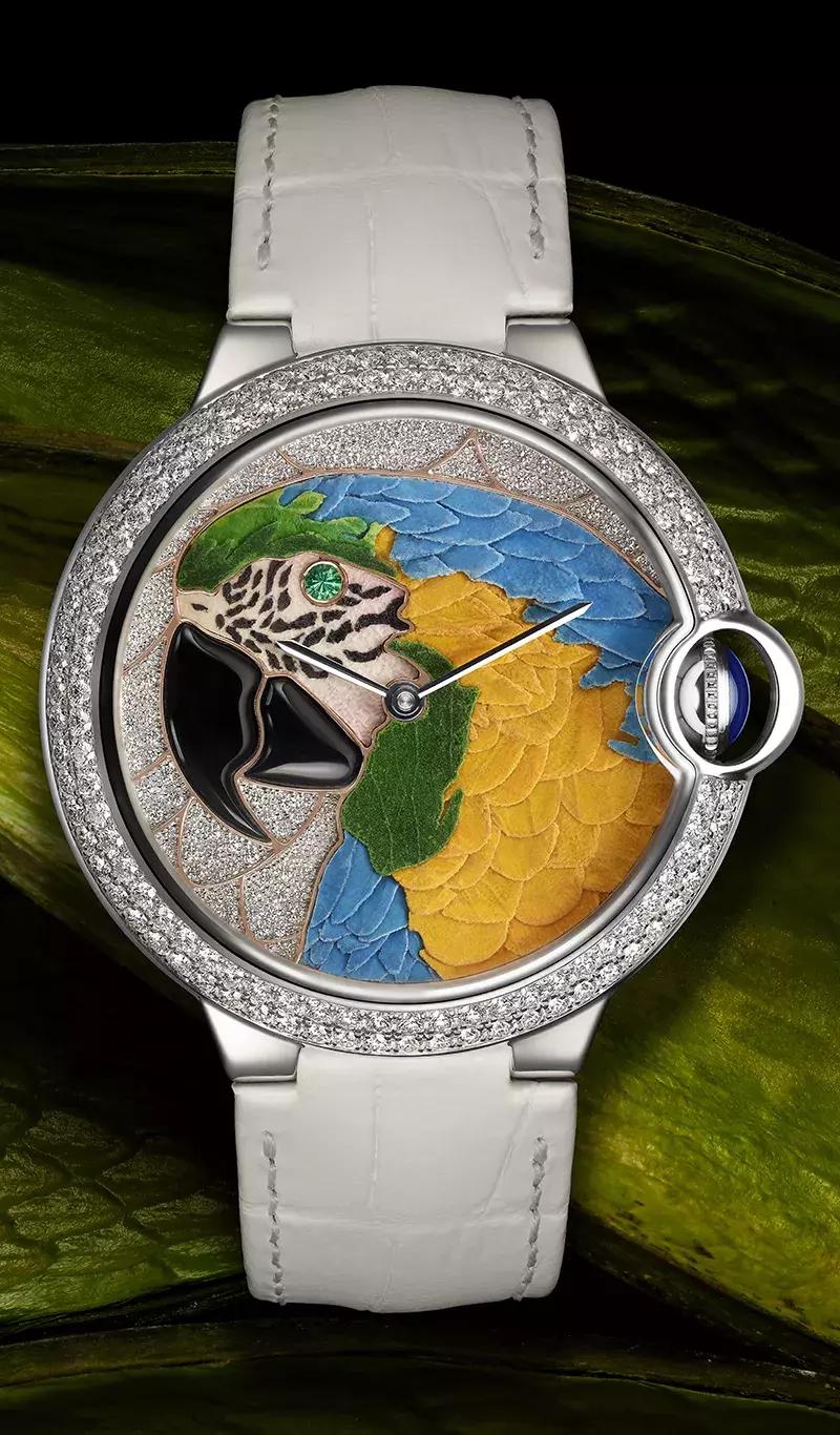 表盘参数详细讲解,表盘教学大全