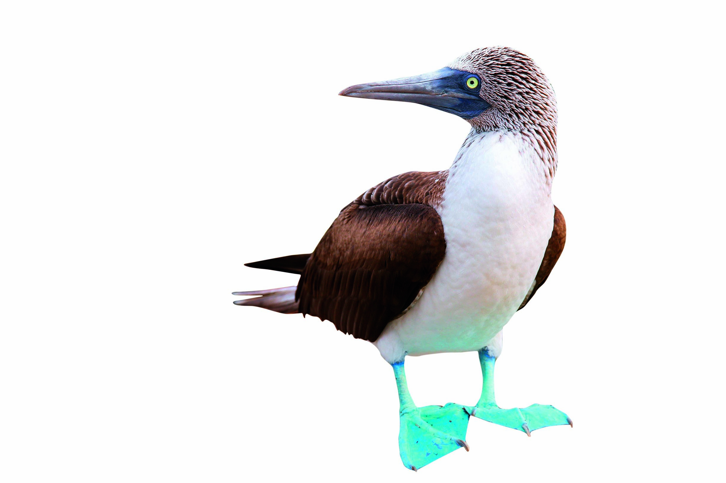 西沙群岛风景区,西沙群岛海底旅游