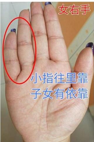 什么样手纹子女出人头地,哪条手纹代表子女缘