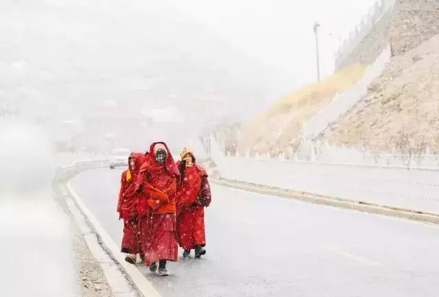 一下雪峨眉山就成了仙境,一下雪川西便美成了天堂