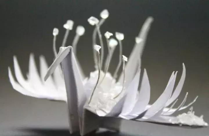 他用3个月时间，折叠了1000只千纸鹤，送给了他最亲爱的姑娘