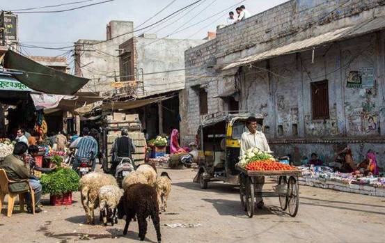 外国快递小哥,国外快递小哥