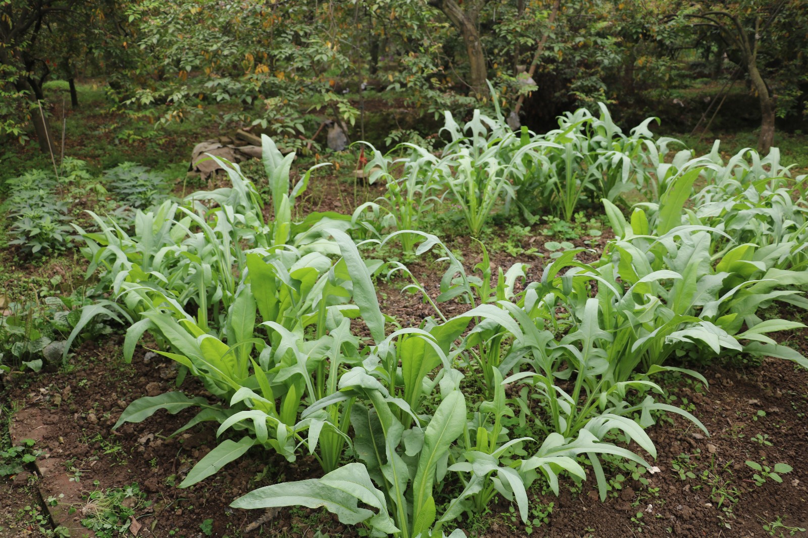 娴风彔浠戝ご,娴风彔鏂版粯浠戝ご