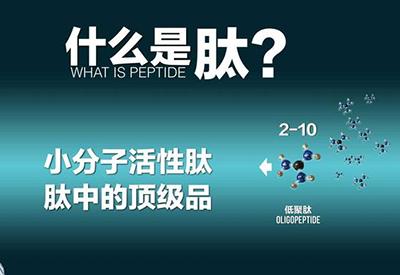 量子细胞肽预防脑血栓,对大众健康起到至关重要的作用