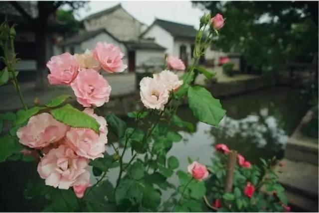 名人读书故事成语,历史故事四字词语成语大全