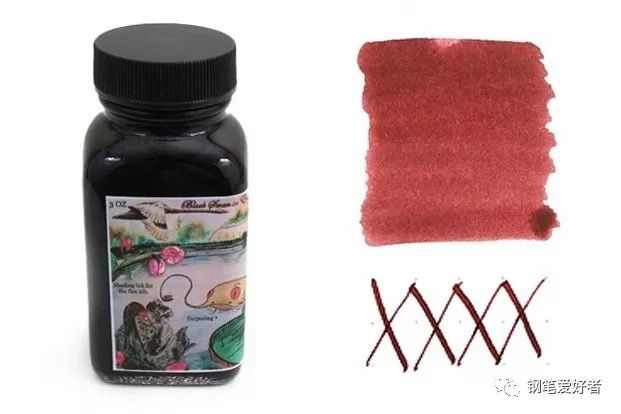 鲶鱼墨水好看的颜色,鲶鱼墨水科普