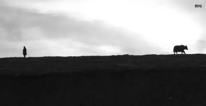 设计师马可无用的衣服,设计师马可无用