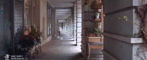 新手小白最好用的稳定器,关于保险你想了解的东西全在这里