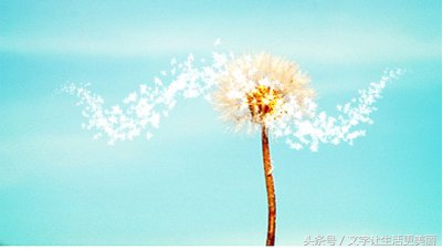 改革和创新才是唯一出路,创新才是发展的唯一出路