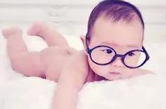 九尾狐养生,九尾狐的神奇功效