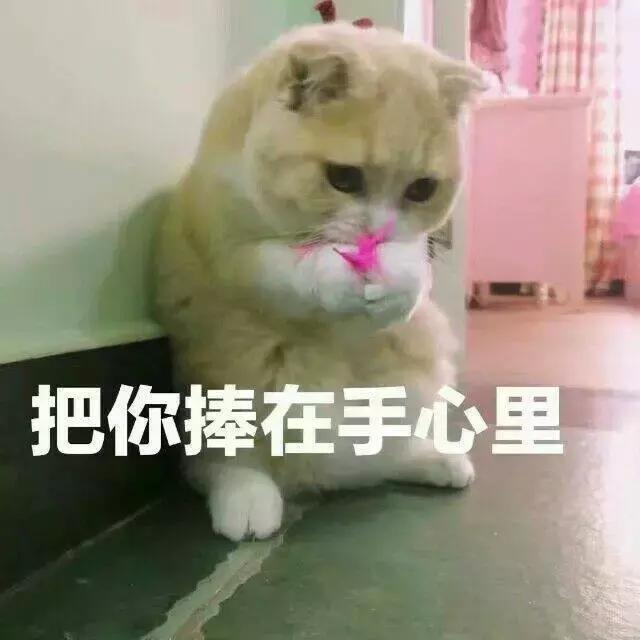 吃土必买的十支口红,吃土必买的十款口红