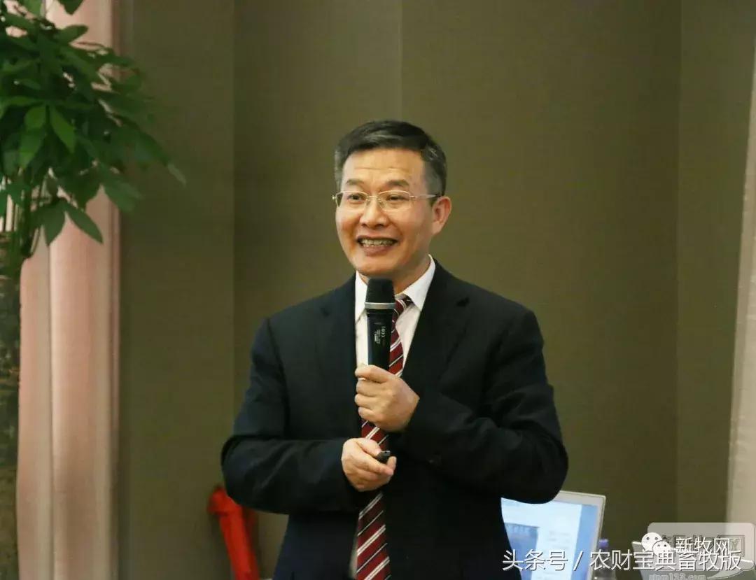 黎小兵、梁彦明、洪平、余平、袁建康、杨正宏等大咖齐聚一堂