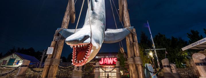 日本环球影城迪士尼乐园哪个更好,东京迪士尼大阪环球影城旅游攻略