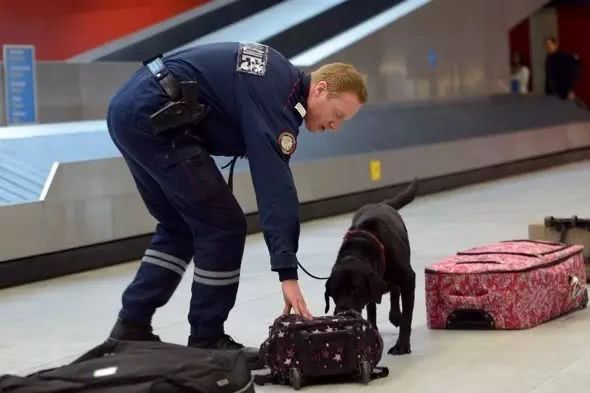 含甘草片的药物为什么不能带出国,去英国可以带甘草片