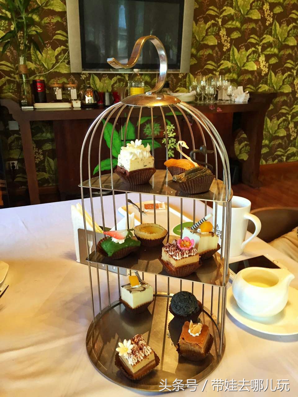 奥森附近小动物乐园,奥森公园世外桃源