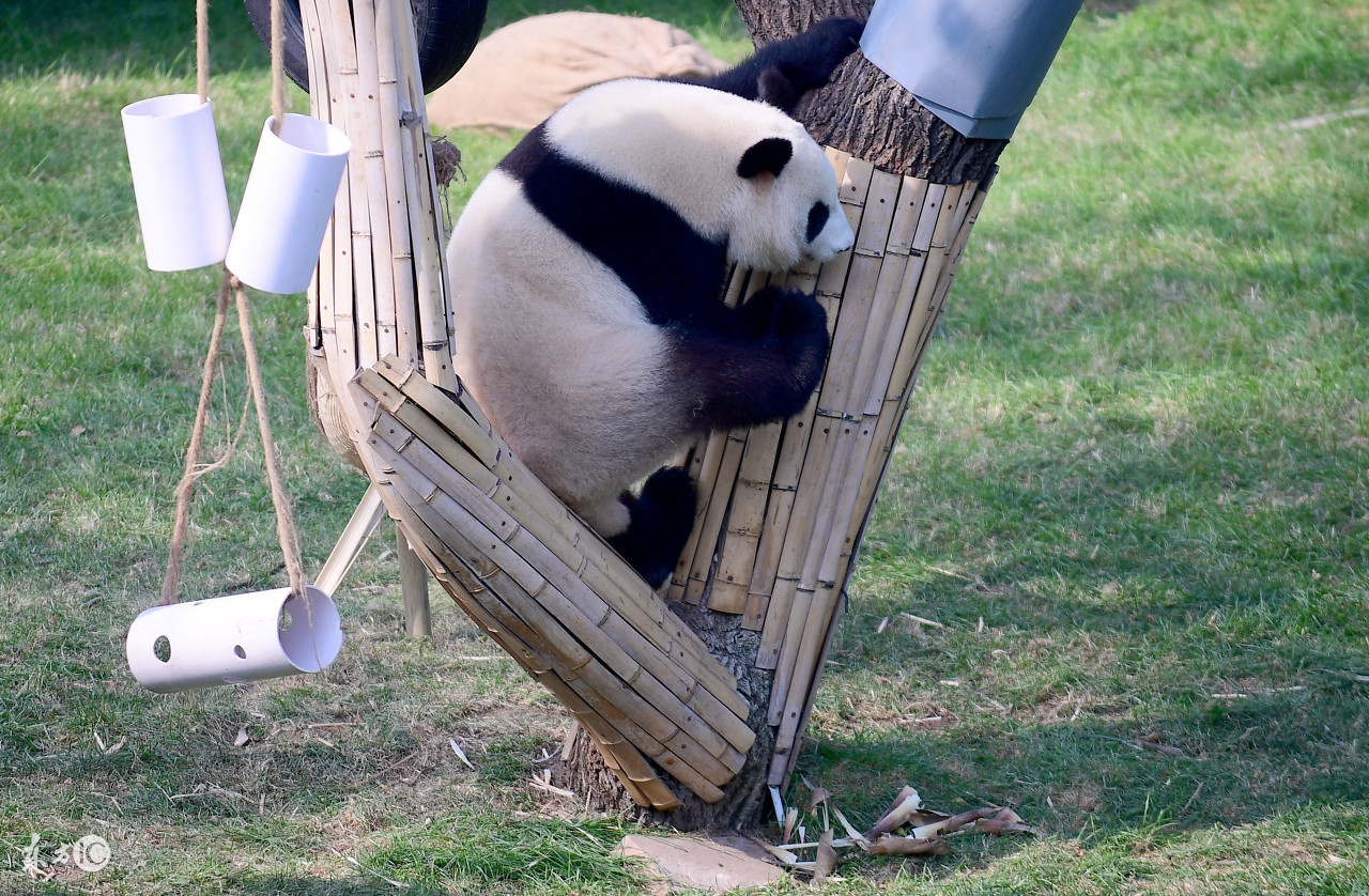 沈阳冬游免费景点,沈阳冬天一日游最佳去处免费