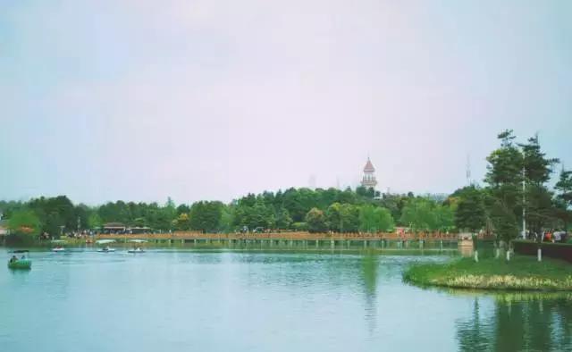 冬天成都两天来回得哪里去玩,成都3-5天短途旅游推荐