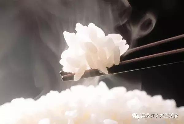 电饭煲煮饭选柴火饭功能,电饭煲做饭不好吃