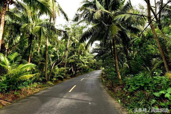 海南东郊椰林旅游攻略,海南静谧的椰林