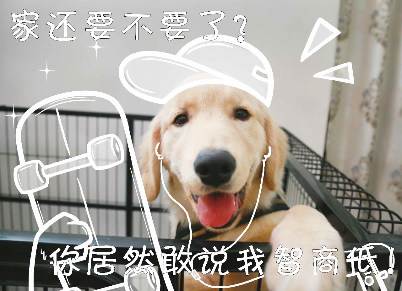 猫和狗的祖先是同一种,猫和狗的祖先进化史