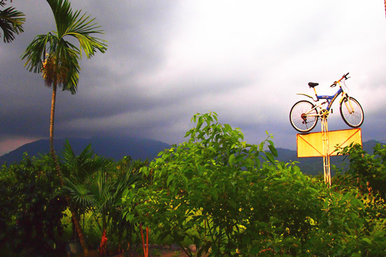 回农村创业目前最好的项目,农村创业机会