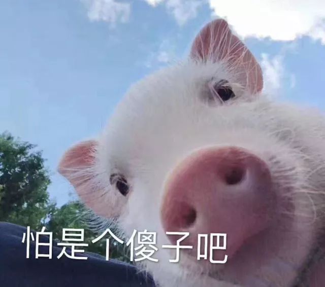 一条鱼在长春的8种死法！全城通缉作案人员