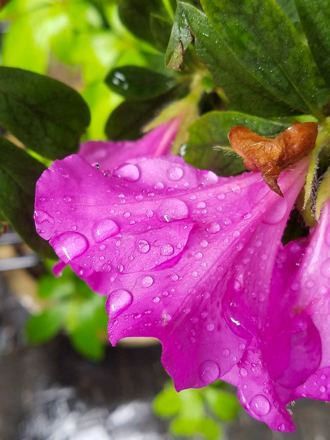 vivoxplay5在2021年什么水平,vivoxplay5有多震撼