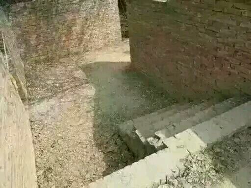 盘点cf挑战外挂,cf里开挂的神操作