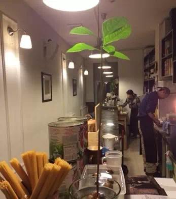 沈阳适合约会的小资的餐厅,适合跟女朋友去的店沈阳小众