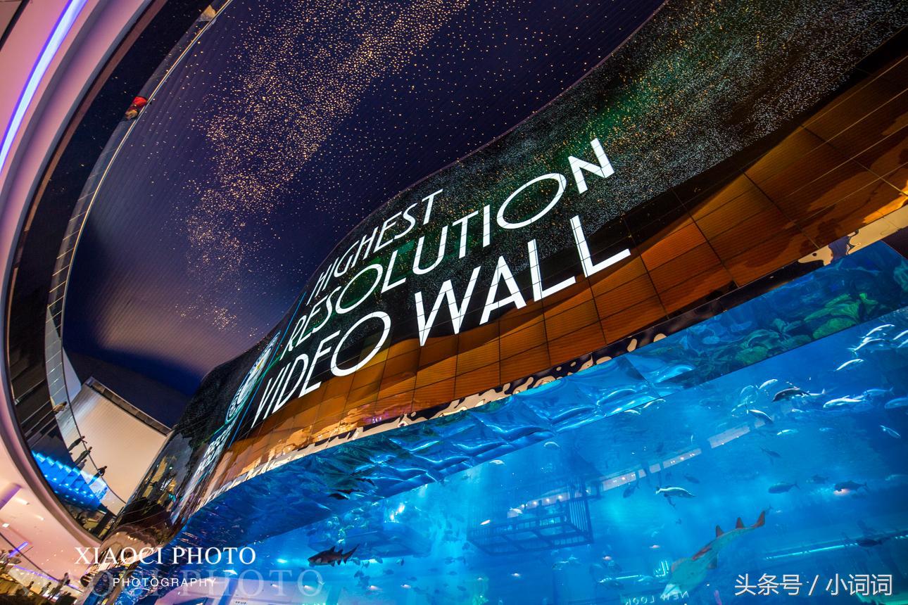 迪拜亲子游去哪里好玩,迪拜适合带孩子去旅游吗