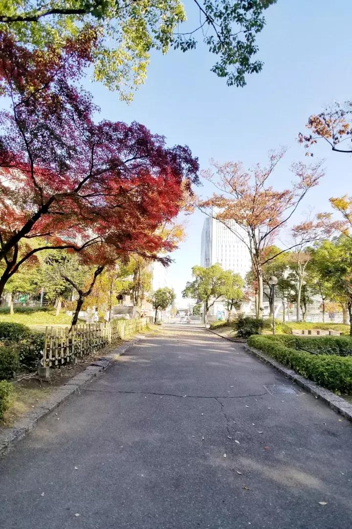 中北部升龙道深度游攻略,日本龙岛旅游攻略