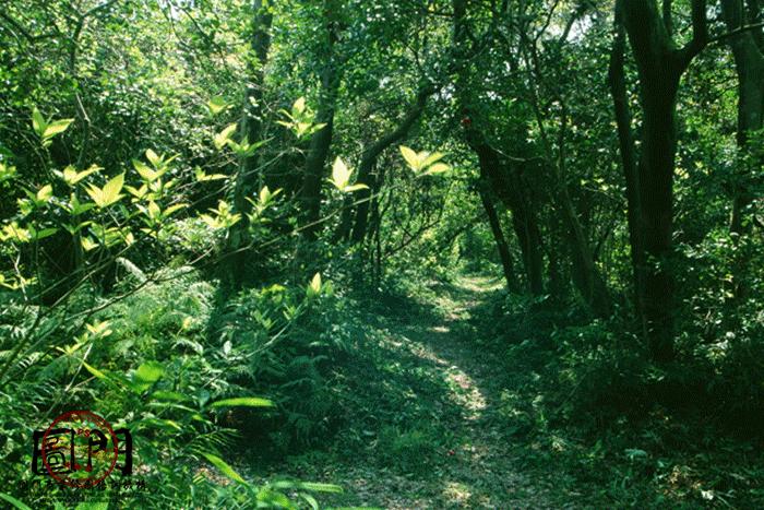 最好的摄影培训班排行榜,全国十大著名摄影培训机构电话
