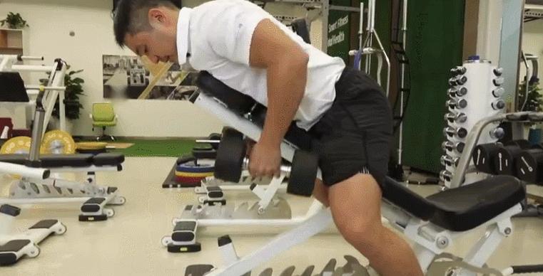 背部变宽主要是背阔肌,背部变宽最佳锻炼方法