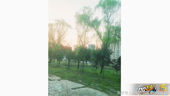 漂移学院-玩家故事：我和飞车的小故事