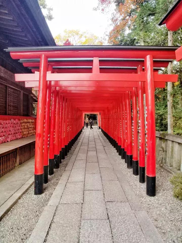 中北部升龙道深度游攻略,日本龙岛旅游攻略