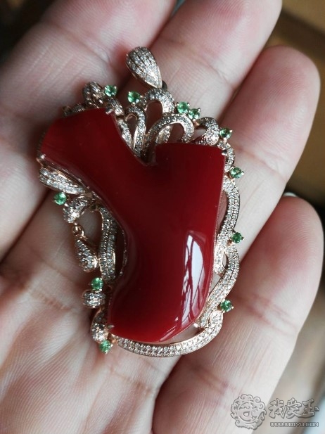 你印象中的珊瑚是怎么样的？关于价格看色的珊瑚究竟如何？来看看