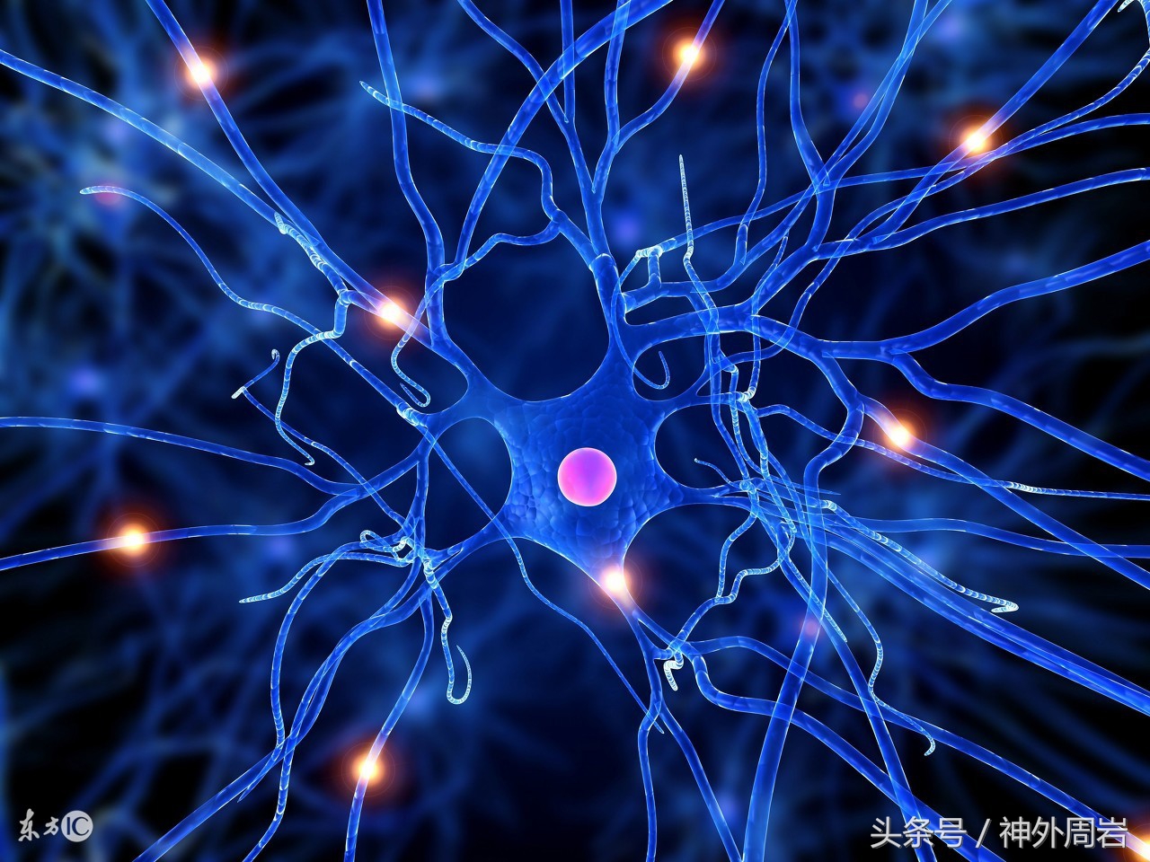 发生于脊髓的神经母细胞瘤,中枢神经细胞瘤是先天的吗