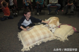 加拿大多伦多私立国际学校,加拿大多伦多但丁阿利吉耶中学