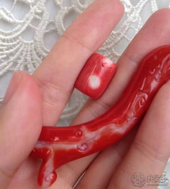 你印象中的珊瑚是怎么样的？关于价格看色的珊瑚究竟如何？来看看