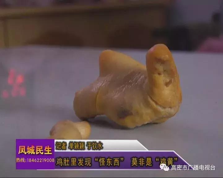奇事｜一高密人在鸡肚子里发现个怪东西，快来看看你认不认识！
