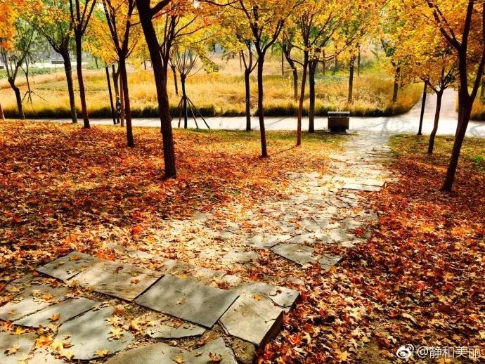 天津一日游必去的十个景点介绍,天津旅游必去十大景点1日游攻略